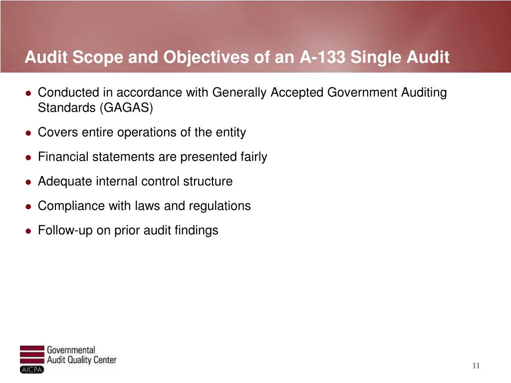 elements of the generally accepted auditing standards elements of the generally accepted auditing standards