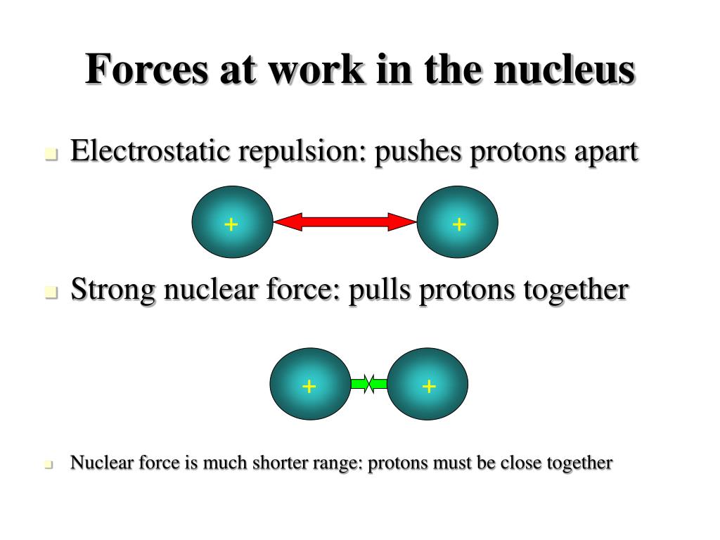 the driving force that pulls protons into the matrix the driving force that pulls protons into the matrix