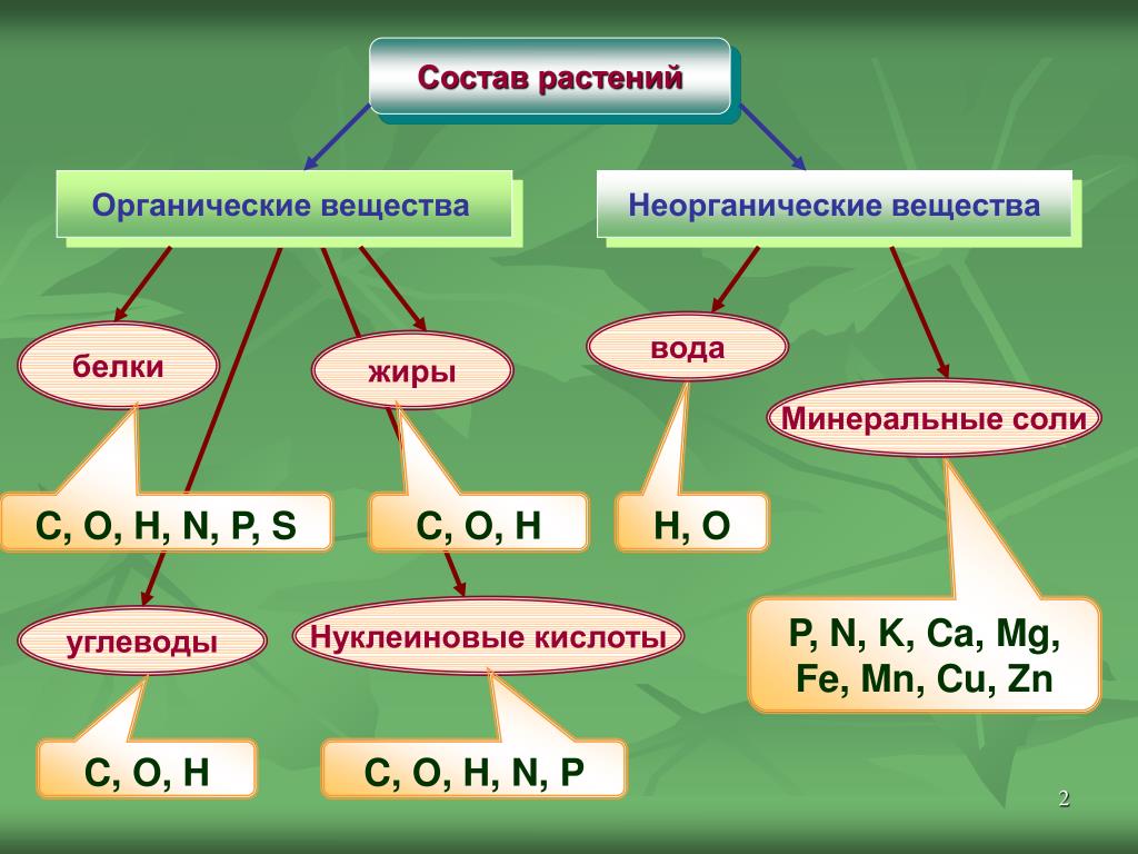 Презентация на тему неорганические вещества