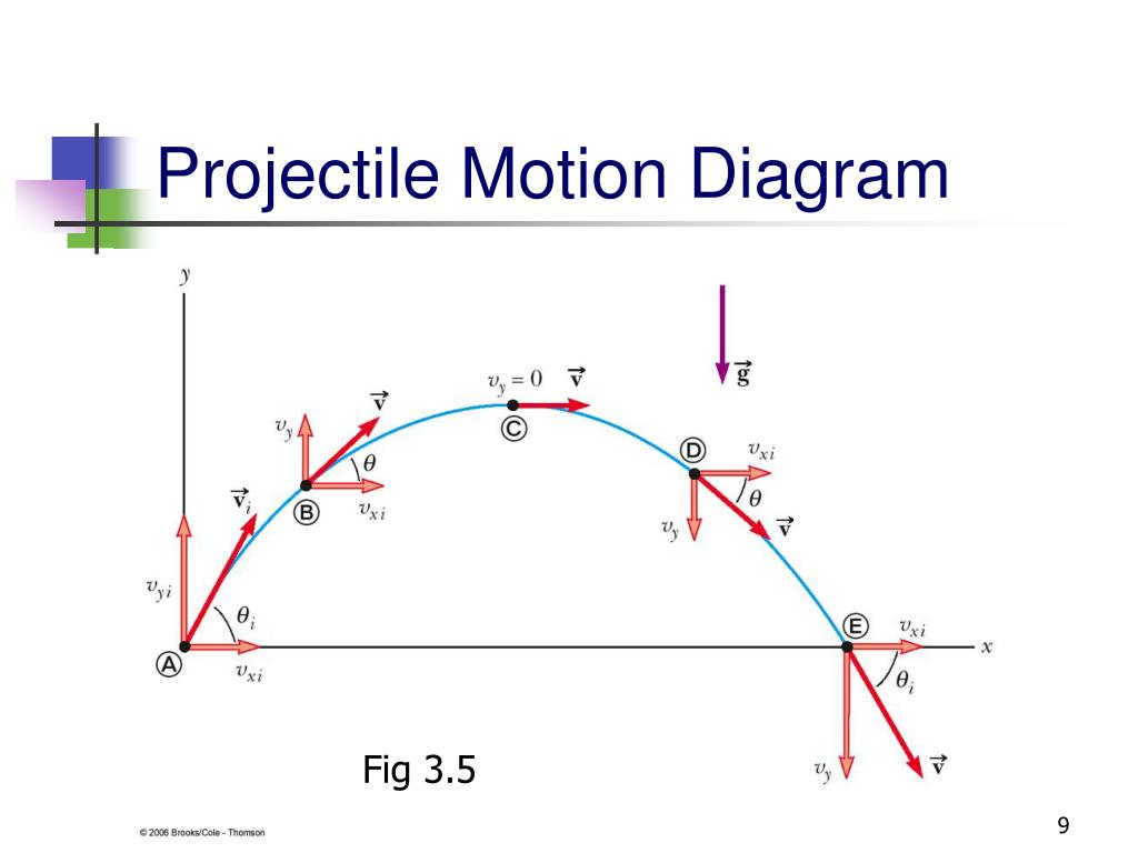 Projectile Motion Diagram