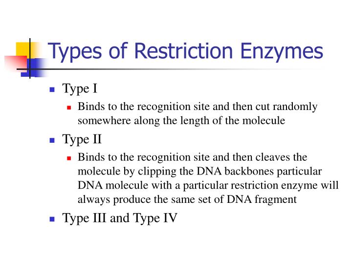 ppt-restriction-enzymes-and-dna-fingerprinting-powerpoint