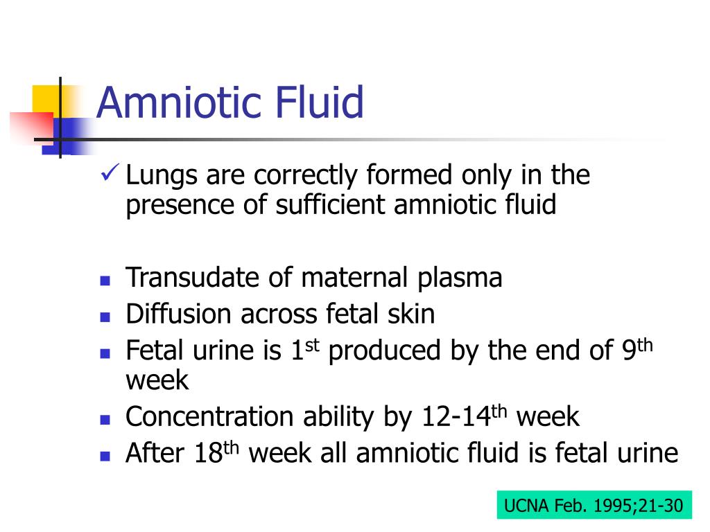 leaking amniotic fluid when to go to hospital leaking amniotic fluid when to go to hospital