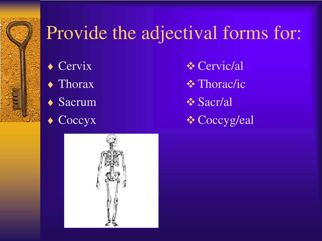 radi o medical term