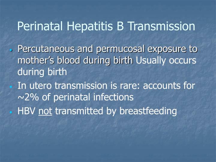 PPT Perinatal Hepatitis B PowerPoint Presentation ID6614138