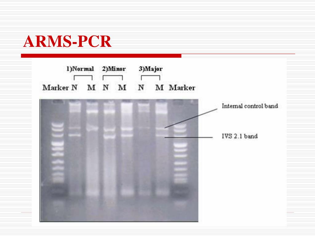 dot blot assay principle dot blot assay principle