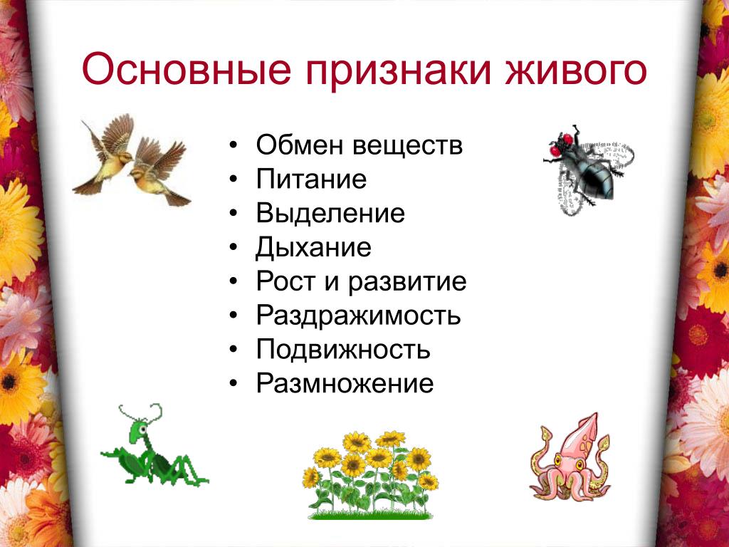 Признаки живого питание. Признаки живого. Признаки живых организмов. Признаки живого обмен веществ. Основные признаки живого питание дыхание выделение.