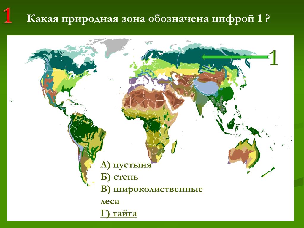 Природные зоны и их основные особенности италии