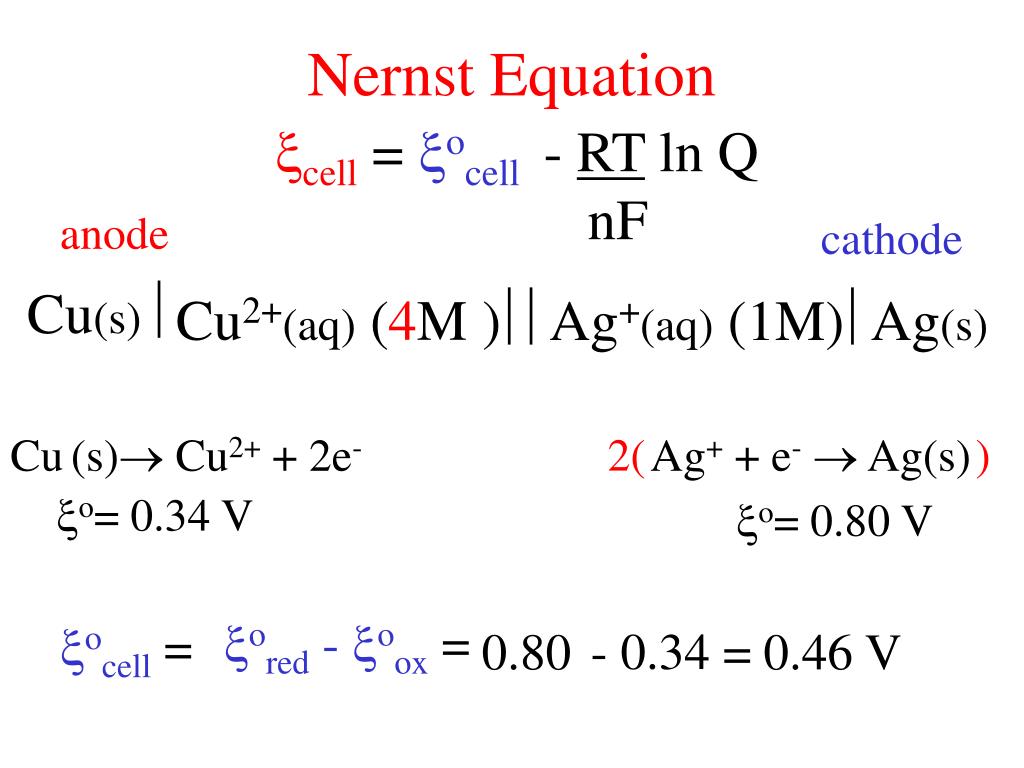 31-nernst-equation-calculator-agustinuslama