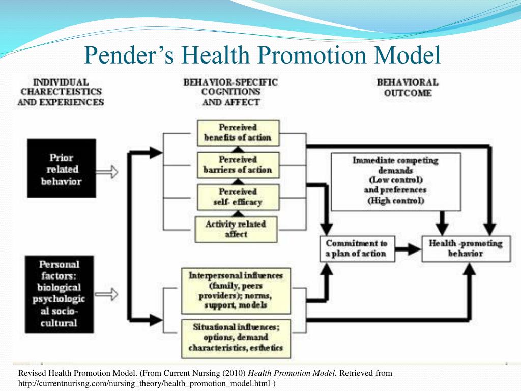 research studies using pender's health promotion model