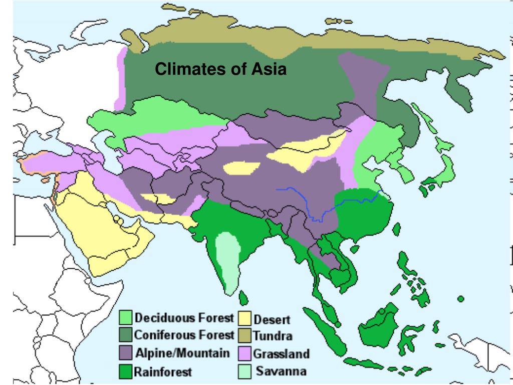 Какой климат в восточной азии. Климатические зоны Юго Восточной Азии. Климат Азии карта. Климатическая карта Восточной Азии. Леса Азии карта.