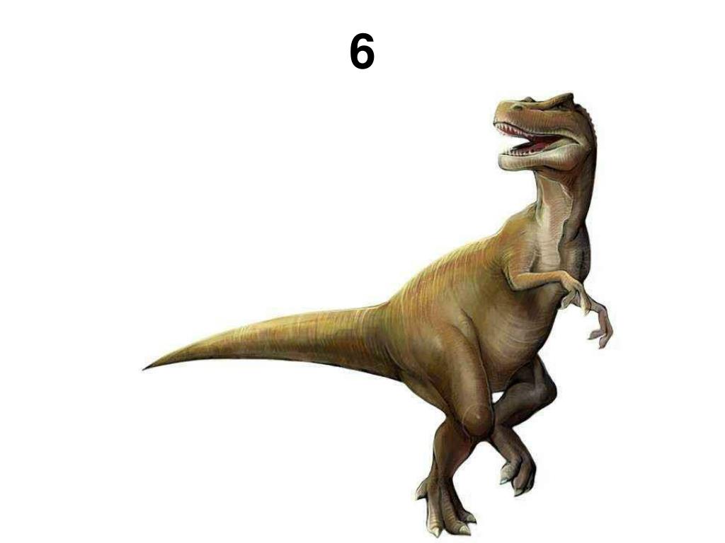 Опиши динозавра. Тираннозавр рекс информация для детей. Динозавры описание для детей. Коротко о Тираннозавре. Проект про динозавров.
