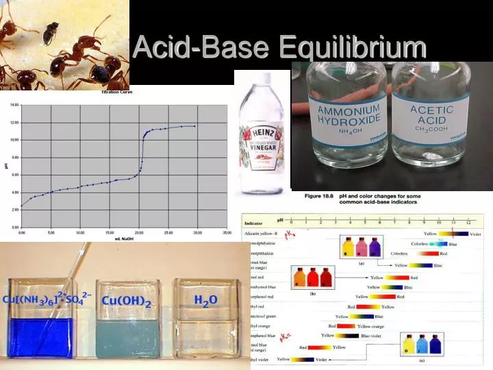 acid base equilibrium n.