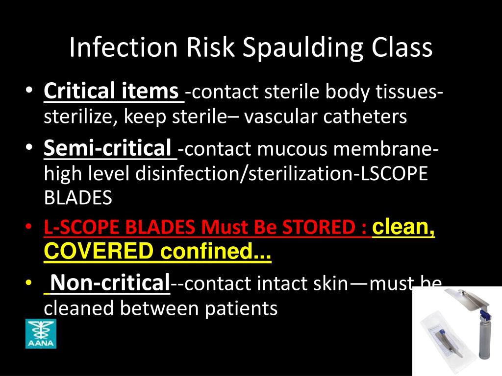 PPT - Infection Control: It's Everyone's Business PowerPoint Presentation -  ID:6637868