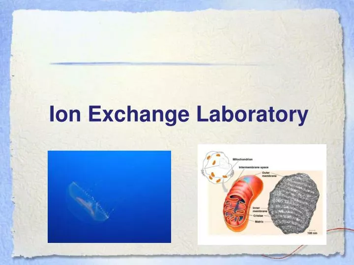 PPT Ion Exchange Laboratory PowerPoint Presentation, free download