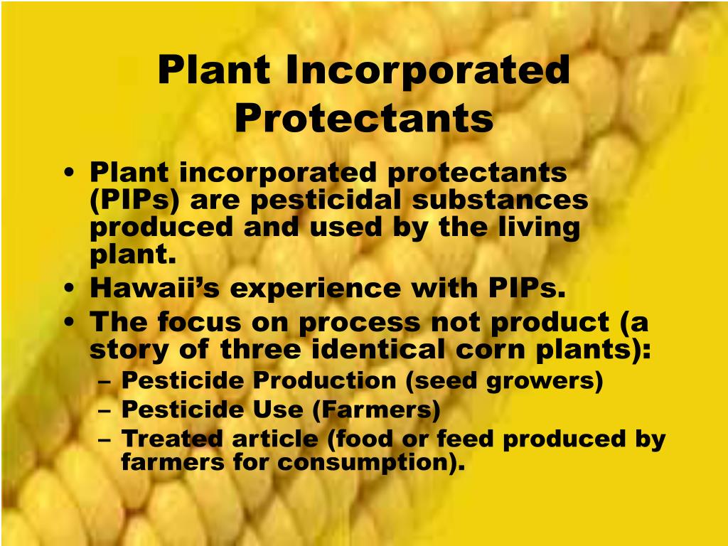 PPT Regulating PlantIncorporated Protectants (PIPs) A State and National Perspective
