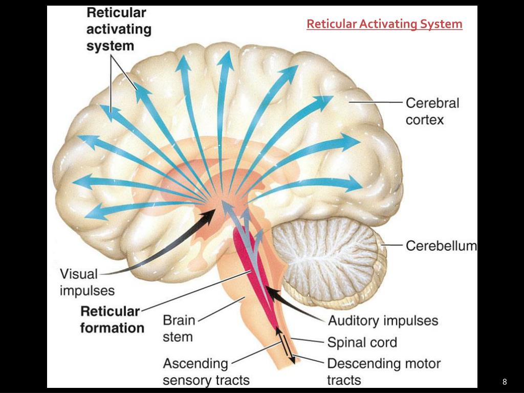 Activate system