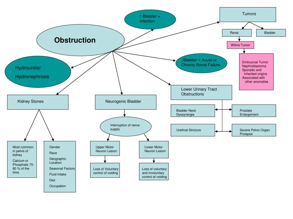 Ppt Alterations Of Renal And Urinary Tract Function Concept Maps
