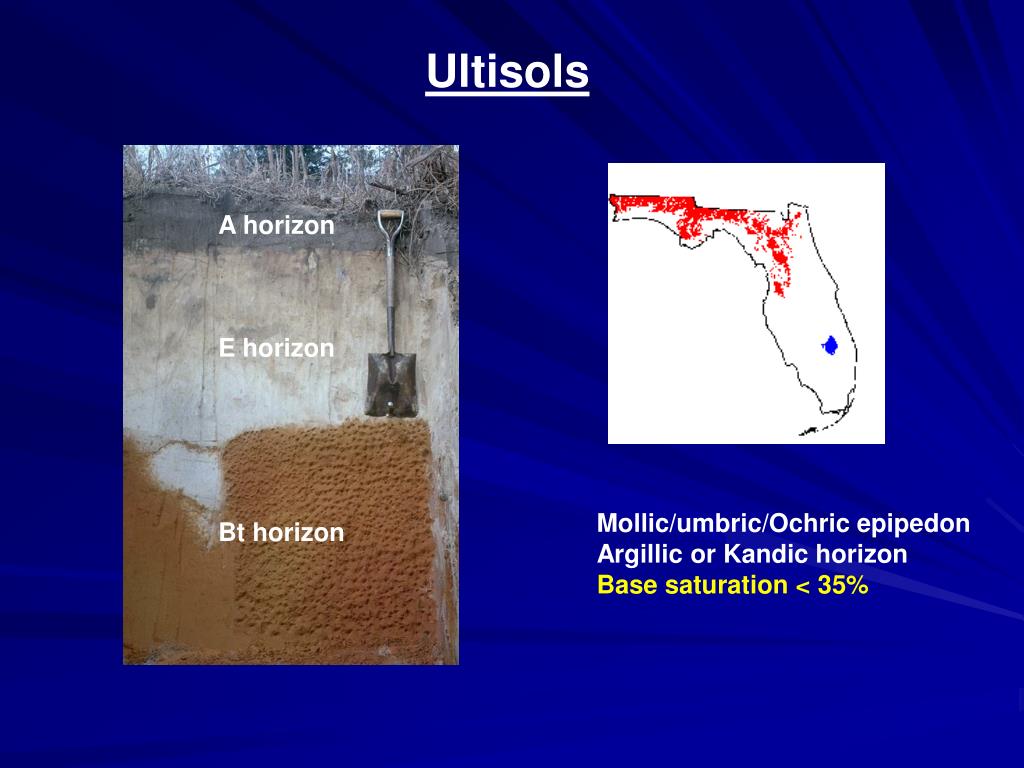 PPT Soil Taxonomy And Classification PowerPoint Presentation Free 