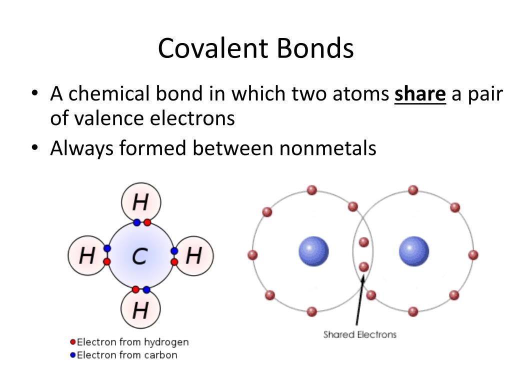PPT - Covalent Bonds PowerPoint Presentation, free download - ID:6647183
