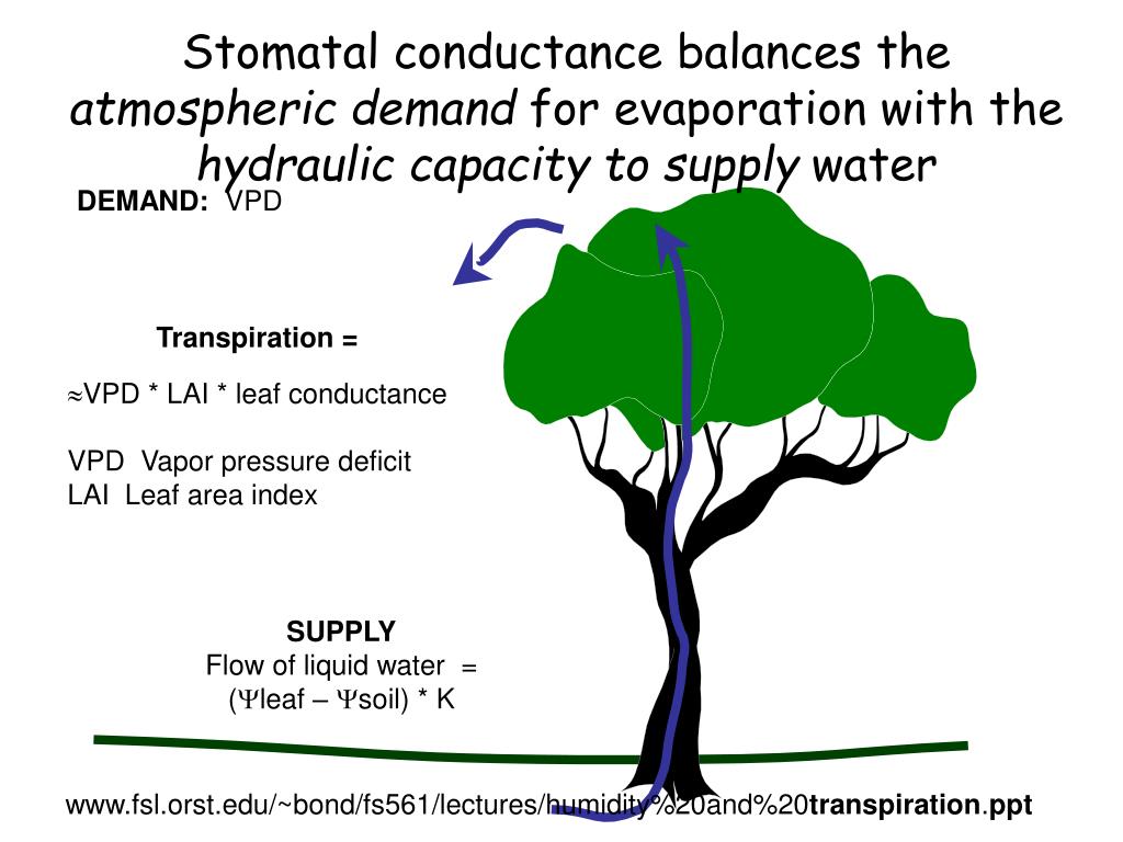 apsim vapor pressure deficit apsim vapor pressure deficit