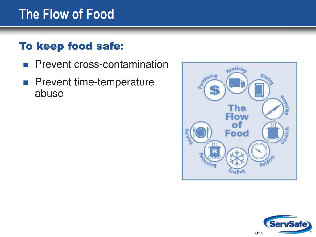 ppt-the-flow-of-food-an-introduction-powerpoint-presentation-free-download-id-6648957