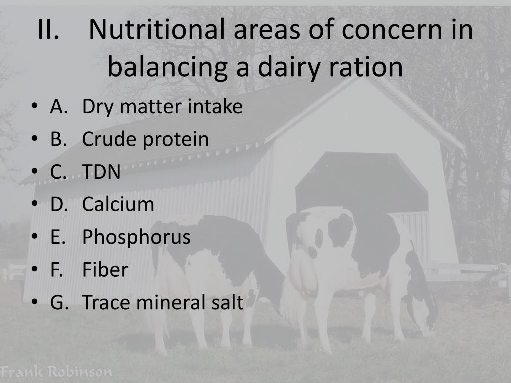 PPT - FEEDING DAIRY CATTLE PowerPoint Presentation, free download -  ID:6649271