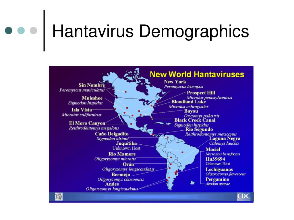 PPT Case Study Hantavirus PowerPoint Presentation, free download