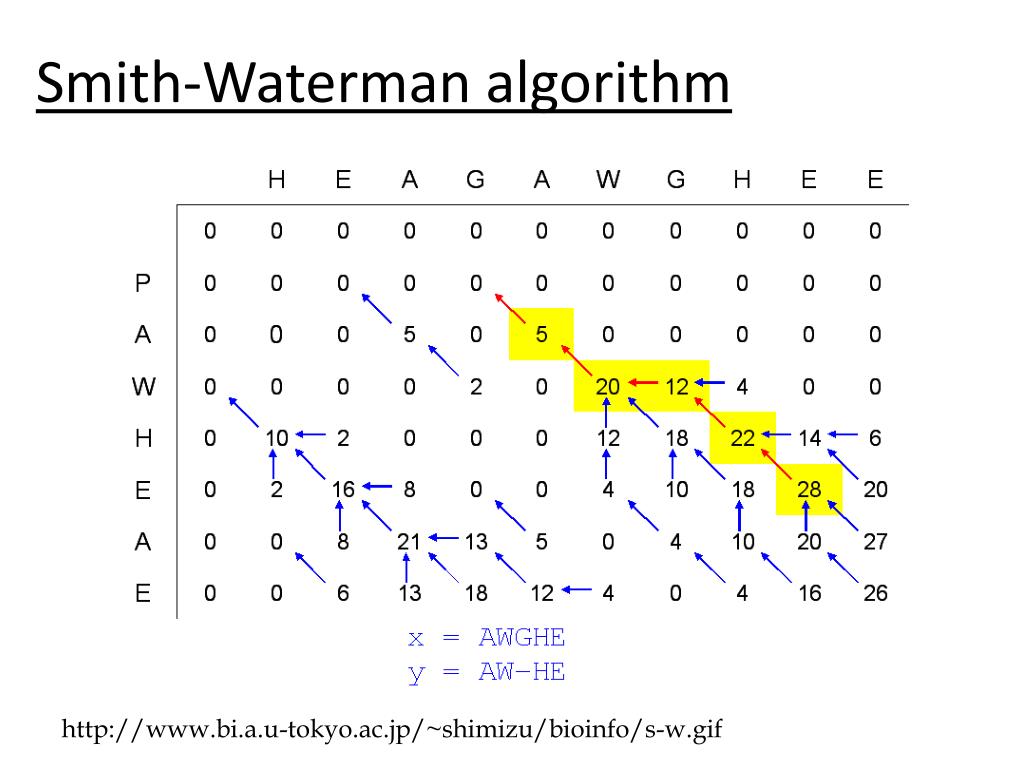 PPT - Sequence Alignment by Dynamic Programming PowerPoint Presentation ...