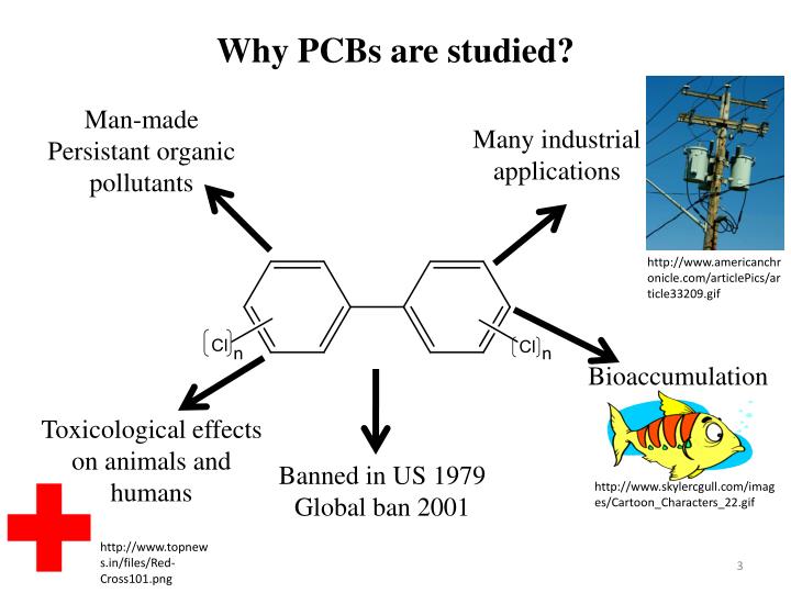 PPT Detection Of Polychlorinated Biphenyls (PCBs) By Gas 