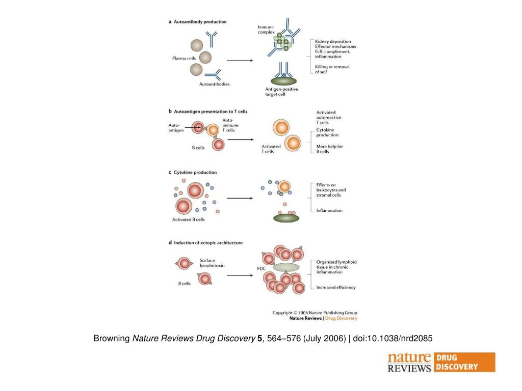 PPT Browning Nature Reviews Drug Discovery 5 , 564 576 (July 2006