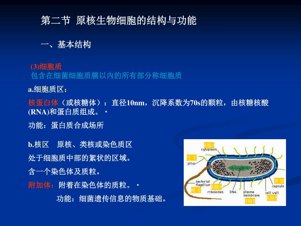 Ppt 第二章微生物细胞powerpoint Presentation Free Download Id Ppt 第二章微生物细胞powerpoint Presentation Free Download Id