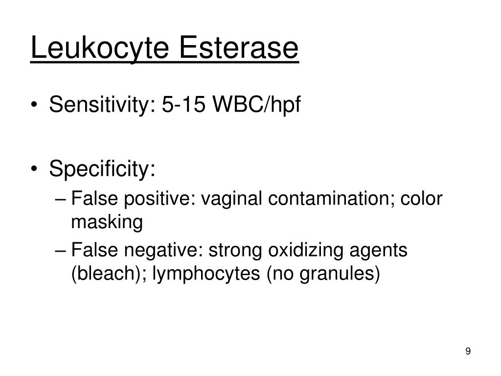 Ppt Chemical Examination Of Urine Part Iv Nitrite And Leukocyte Esterase Powerpoint 8682