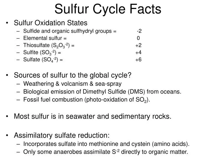 PPT Sulfur Cycle Facts PowerPoint Presentation, free download ID
