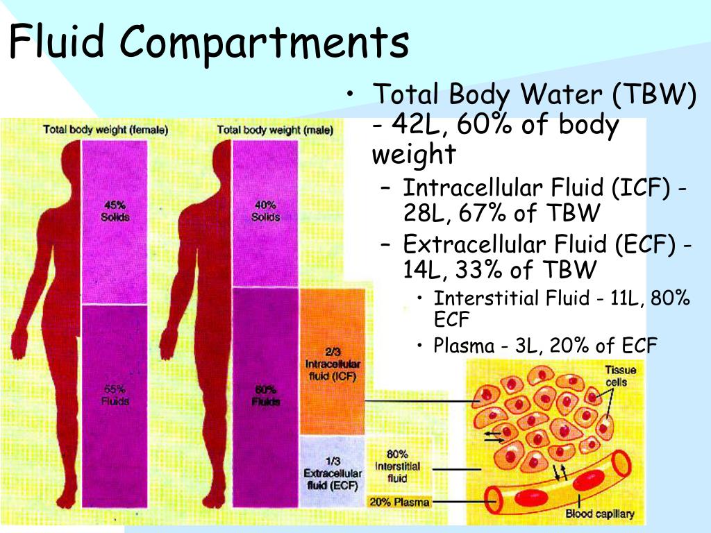 PPT Chapter 26 PowerPoint Presentation Free Download ID 6661403 PPT Chapter 26 PowerPoint Presentation Free Download ID 6661403