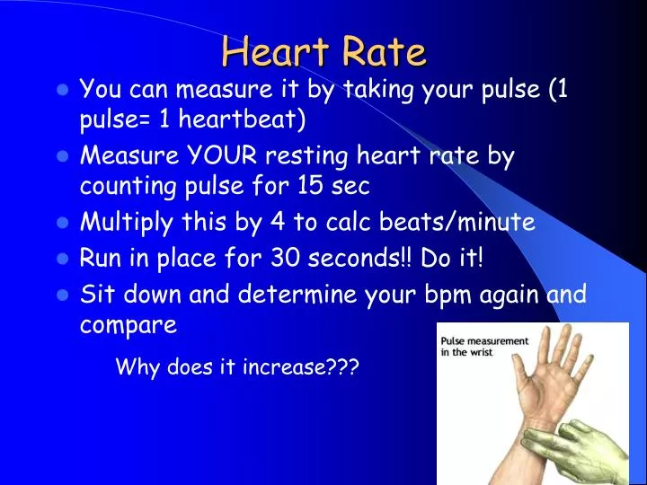 4 free heart rate measure