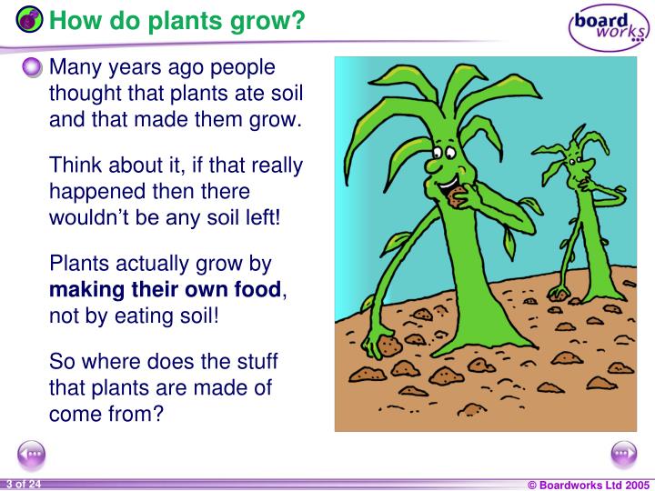 PPT KS3 Biology PowerPoint Presentation ID6664156