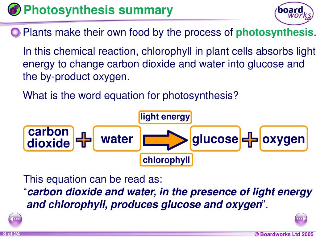 What Is The Word Equation For Photosynthesis Ks3 Tessshebaylo