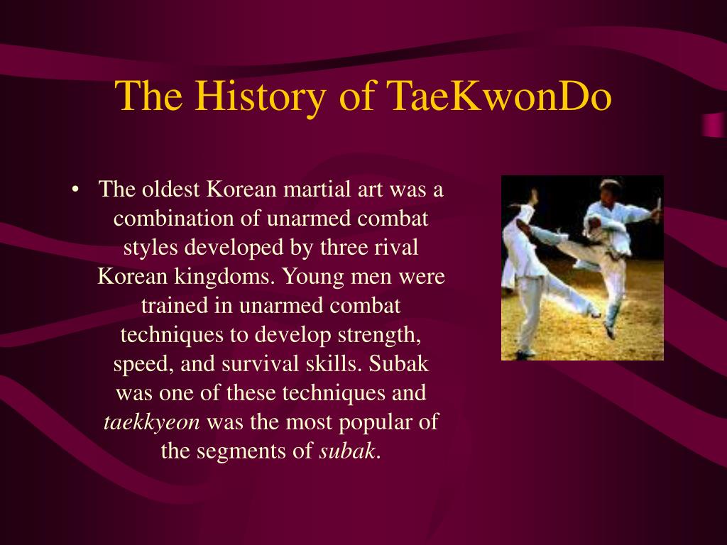 taekwondo essay examples