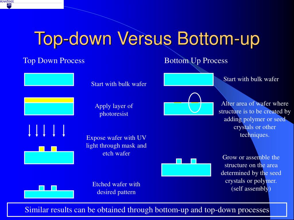 bottom up processing bottom up processing
