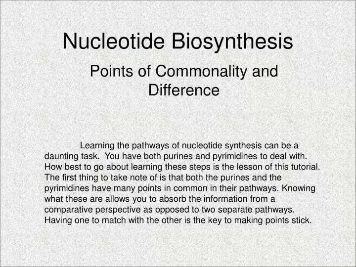 nucleotide biosynthesis n.