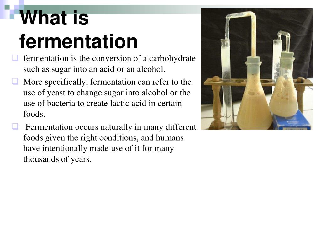 PPT - What Is Fermentation L