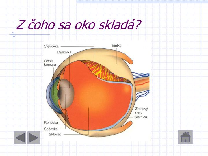 PPT Ľudské oko PowerPoint Presentation ID6668635