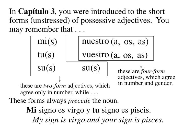ppt long form possessive adjectives and pronouns powerpoint long form possessive adjectives
