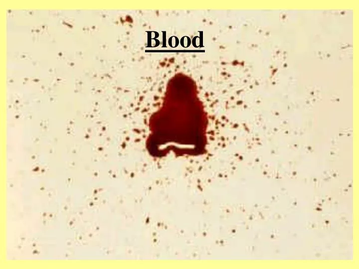 blood spatter research paper With over 55,000 free research papers as well as what the author’s research is about and how this methodology assists in this blood spatter analysis the blood. blood spatter research paper With over 55,000 free research papers as well as what the author’s research is about and how this methodology assists in this blood spatter analysis the blood.