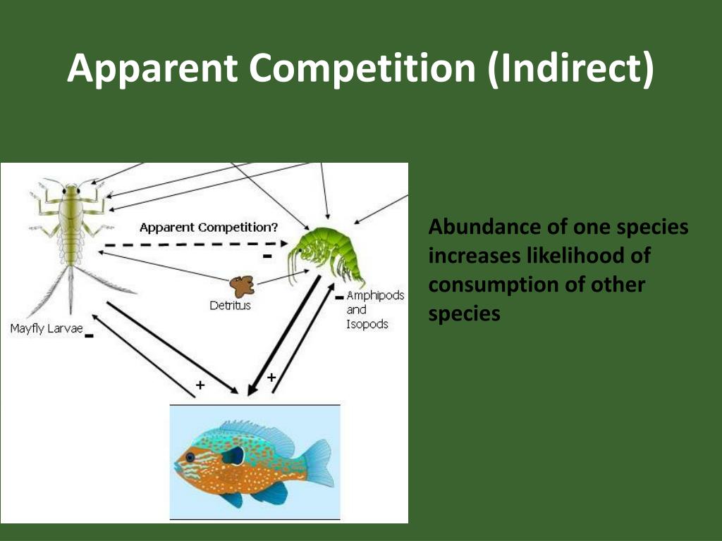 Ppt Plant Competition Powerpoint Presentation Free Download Id 6670656