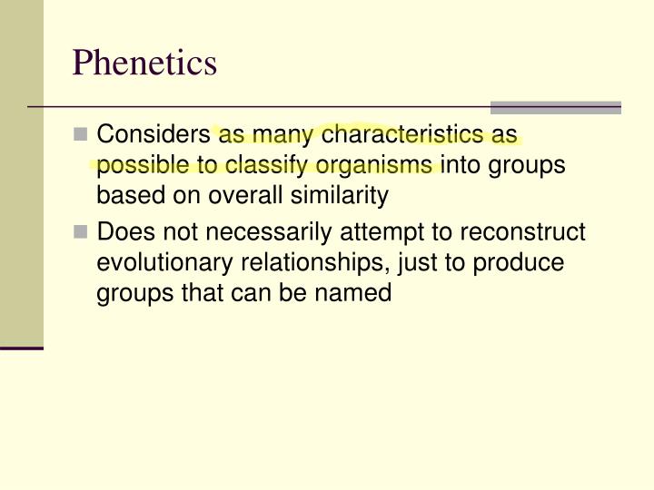 what is phenetic classification