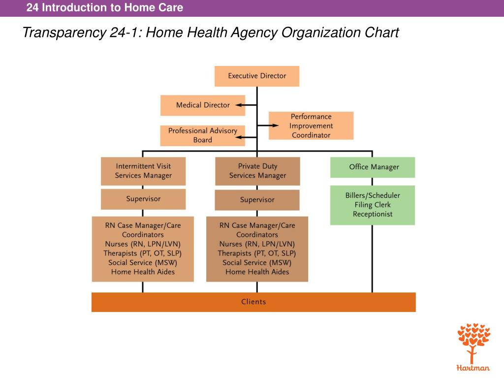 Home Care Agency Organizational Chart