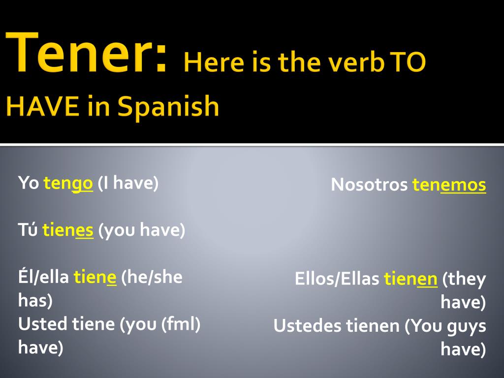PPT El Verbo Tener PowerPoint Presentation Free Download ID 6673918