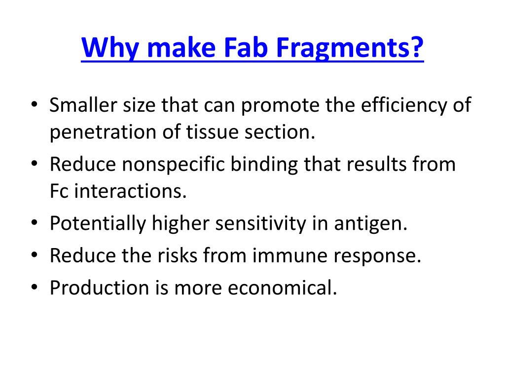 fab fragment definition fab fragment definition