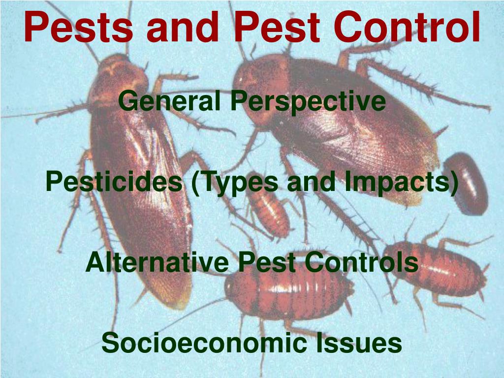 Ppt Pests And Pest Control Powerpoint Presentation Free Download Id 6675195